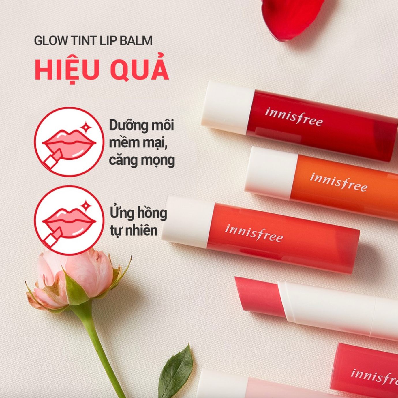 Son Dưỡng Có Màu Innisfree Dưỡng Môi Lên Màu Và Mềm Mịn Như Cánh Hoa