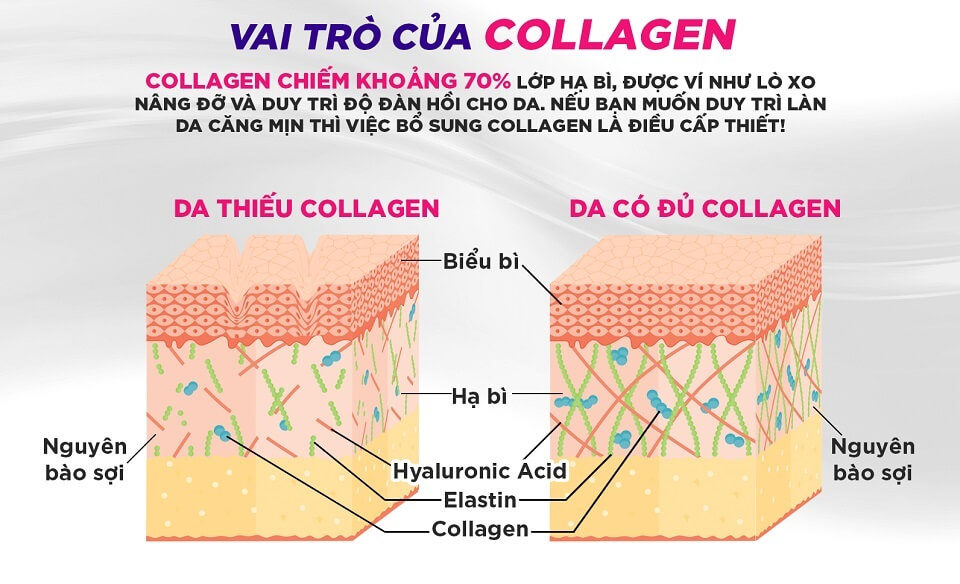 vai trò của collagen-dhc-nuoc-7000